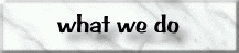 [ What we do ]